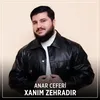 About Xanım Zehradır Song