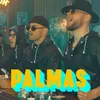 About PALMAS Song