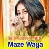 About Maze Waya Song