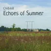 About Echoes of Summer Song