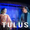 About Tulus Song