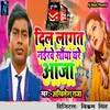 About Dil Lagat Naikhe Saiya Ghare Aaja Song