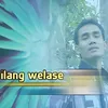 About Ilang Welase Song