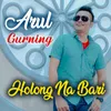 HOLONG NA BARI