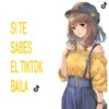 About Si te sabes el TikTok baila Song