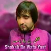 About Shokali Be Wafa Yast Song