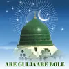 About are guljaare bole Song