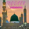 About toqdeer chamkaye Song