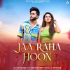 About Jaa Raha Hoon Song