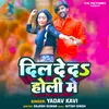 About Dil De Da Holi Me Song