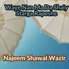 Waye Nan Ma Da Shaiy Starga Rapeshe