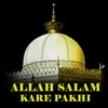 About allah salam kare pakhi Song