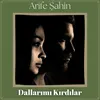 About Dallarımı Kırdılar Song