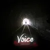 Voice