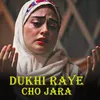 About dukhi raye cho jara Song