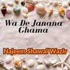About Wa De Janana Ghama Song