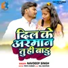 Dil Ke Armaan Tuhi Badu