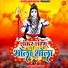 About Shankar Shambhu Bhola Bhola Song