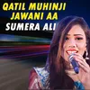 About Qatil Muhinji Jawani Aa Song