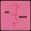 About Gel Gülüm Song