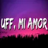 About UFF MI AMOR Song