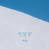 About 雪莲花 Song