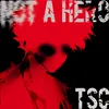 About (NOT) A HERO Song