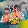 About Bhole Tu Mera Song