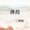 About 弹药 Song