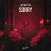 About Sorry Song