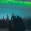 About Dis-moi ce que tu vois Song