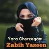 Yara Ghorzegam
