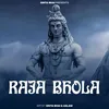 About Raja Bhola Song