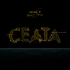 About Ceata Song
