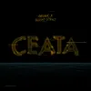 Ceata