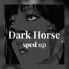About dark horse sped up Song