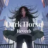 About Dark Horse Reverb Song