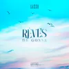 About Rêves de gosse Song