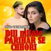 Dill Milale Parihar Se Chhori