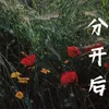 About 分开后 Song