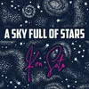 About A Sky Full Of Stars Song