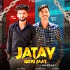 About Jatav Meri Jaat Song