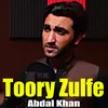 About Toory Zulfe Song