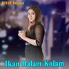 About Ikan Dalam Kolam Song