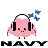 About Navy Song