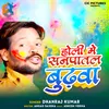 About Holi Me Sanpatal Budhwa Song