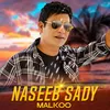 About Naseeb Sady Song