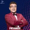 About Ризамын Song