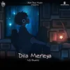 About Dila Mereya Song