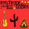 About Rastro de Cobra Song